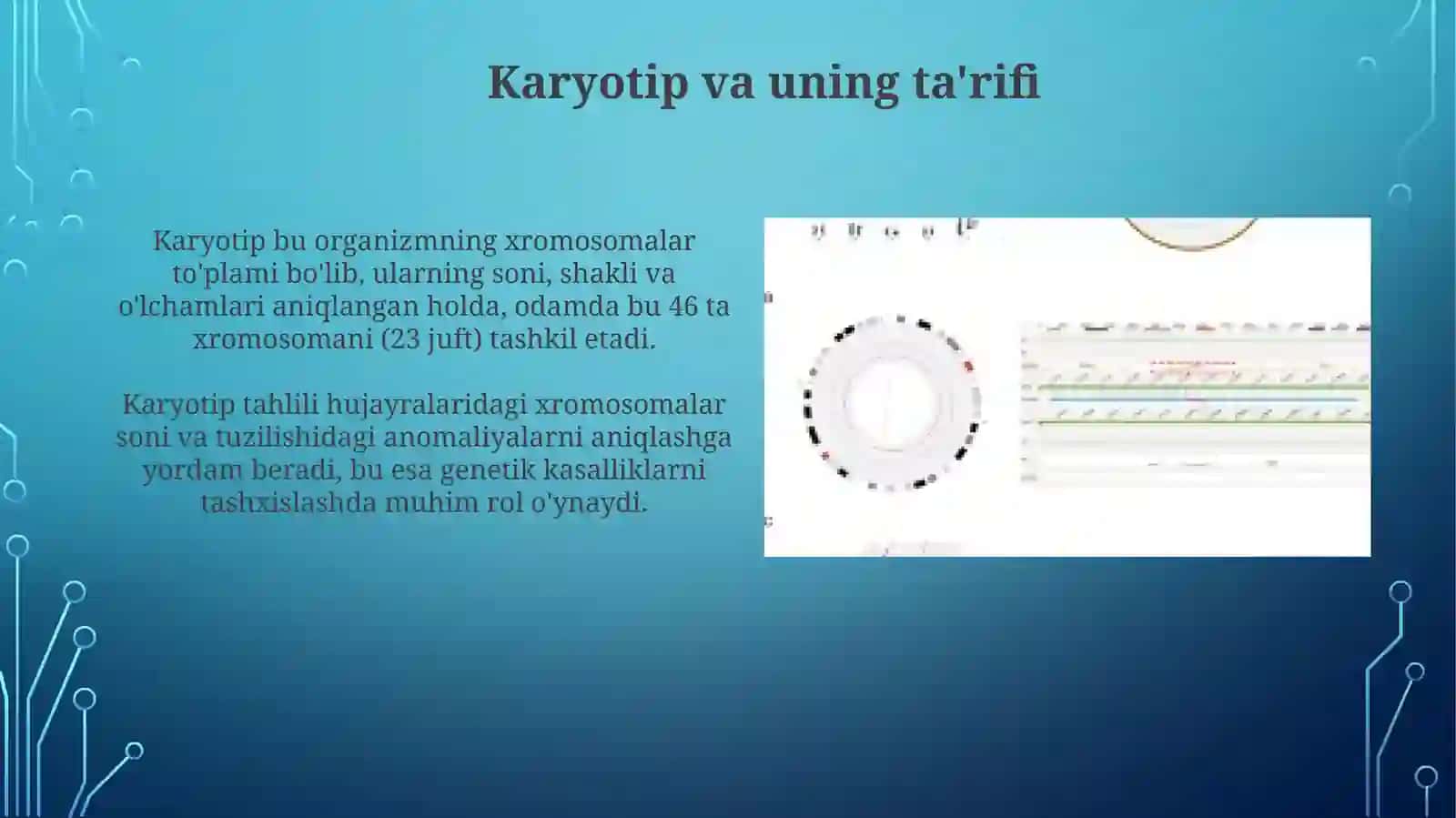 odam kariotipidagi xramasomalar va genom strukturasiga ko'ra ularning guruhlanishi 3