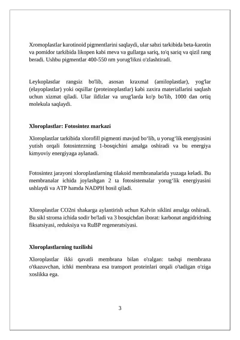 Plastidalar 3