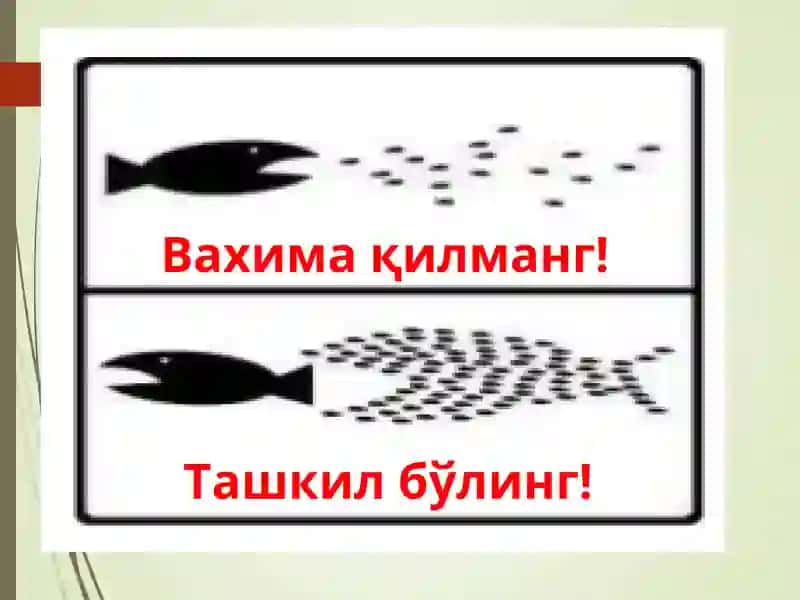 Менежментнинг ташкил этиш функцияси 3