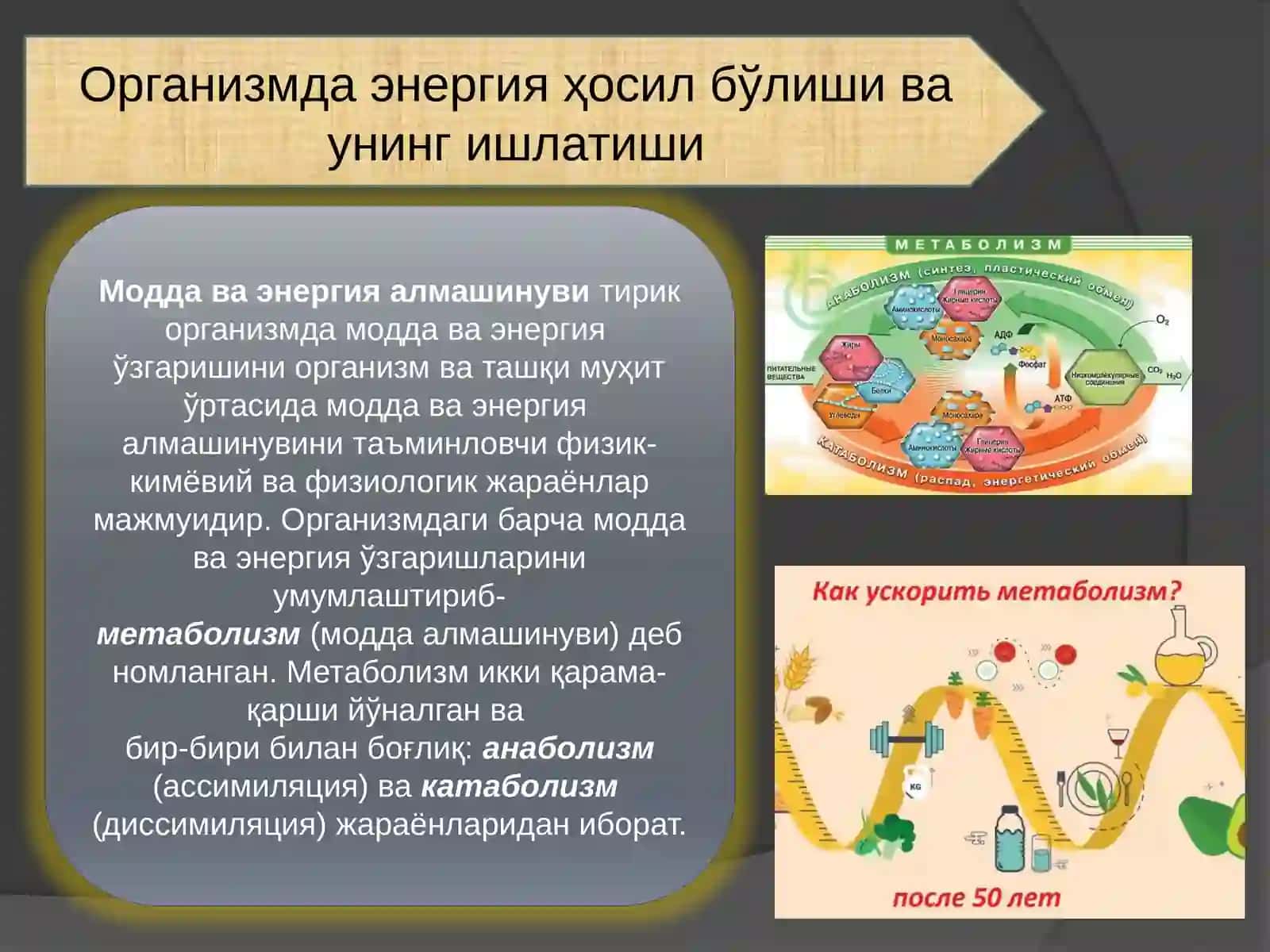 Modda va energiya almashinuvi 3