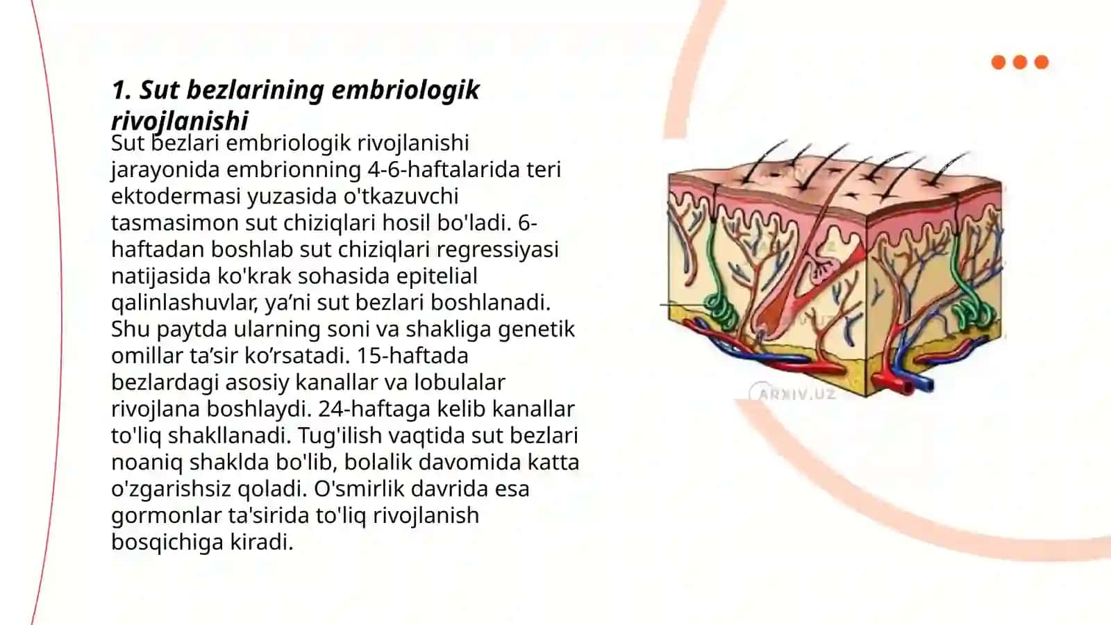 Sut bezlari gistogenezi va gistofiziologiyasi 3