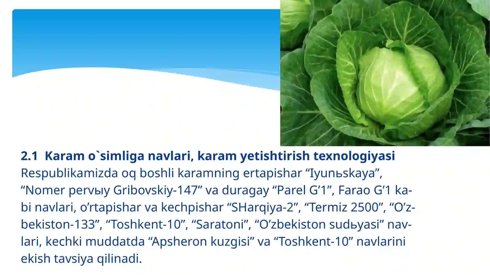 Dorivor o’simliklarni yetishtirish va qayta ishlash texnalogiyasi 3
