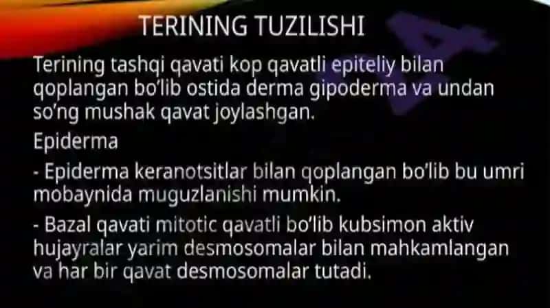 TERI REGENERATSIYASI VA TRANSPLANTATSIYASI.HAVO QON TOʻSIGʻINING TUZILISHI VAZIFALARI VA PATALOGIYASI.ATSINUSNING GISTOFIZIOLOGIYASI .OʻPKANING REGENERATSIYASI VA TRANSPLANTATSIYASI 3