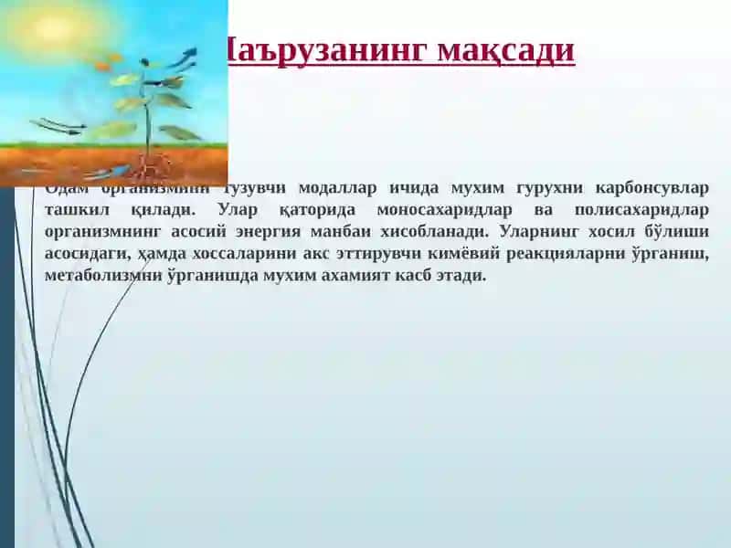 Карбонсувлар. Тузилиши, хоссалари ва функциялари 3