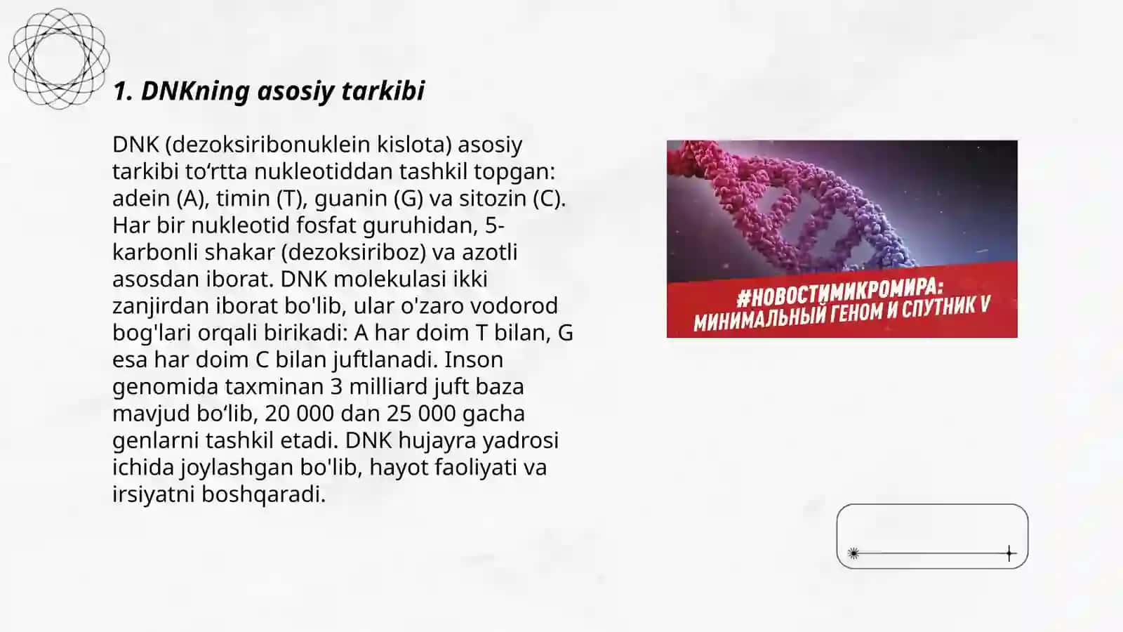 DNK strukturasi 3