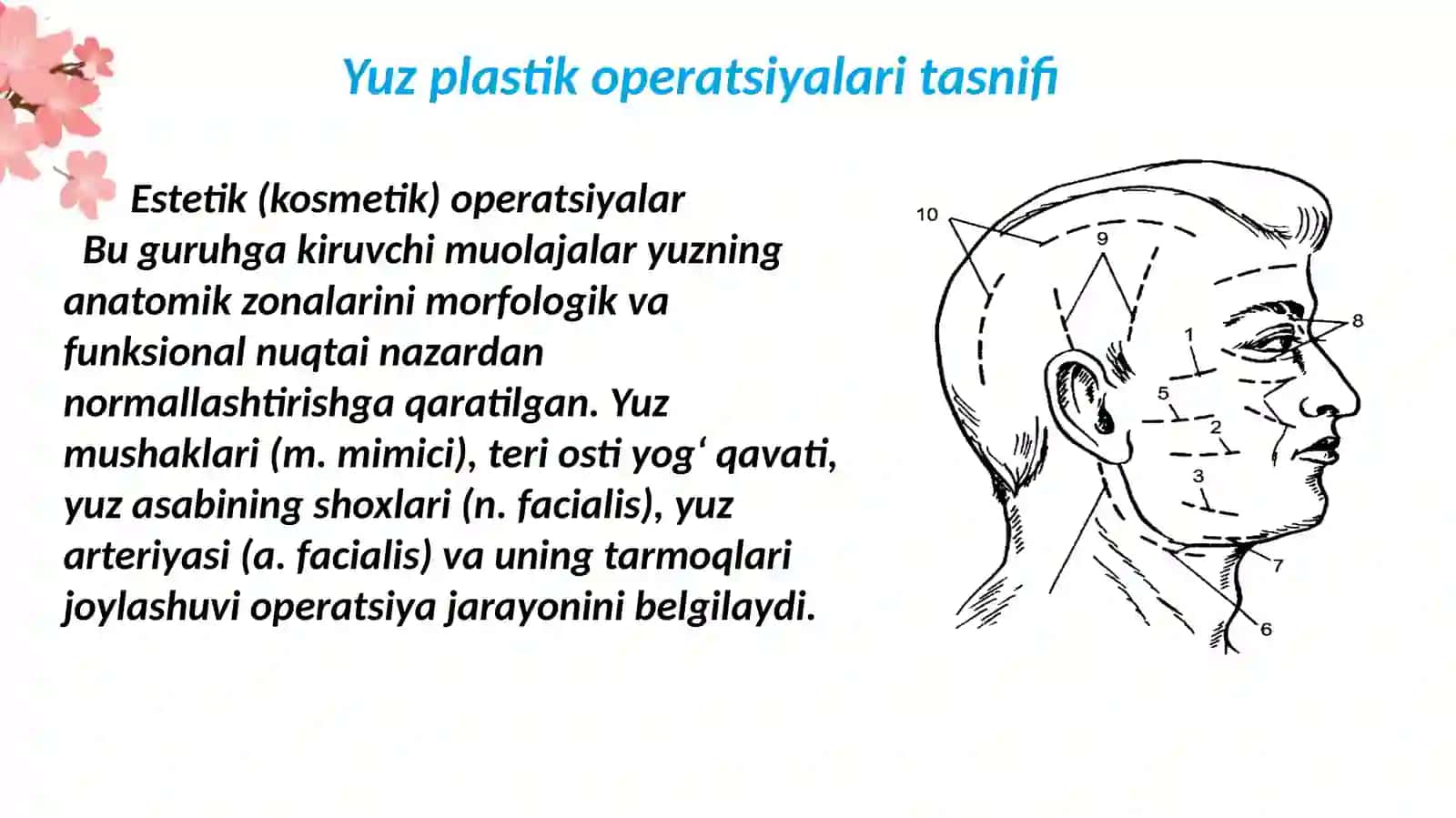 Yuz plastik operatsiyalari tasnifi 3
