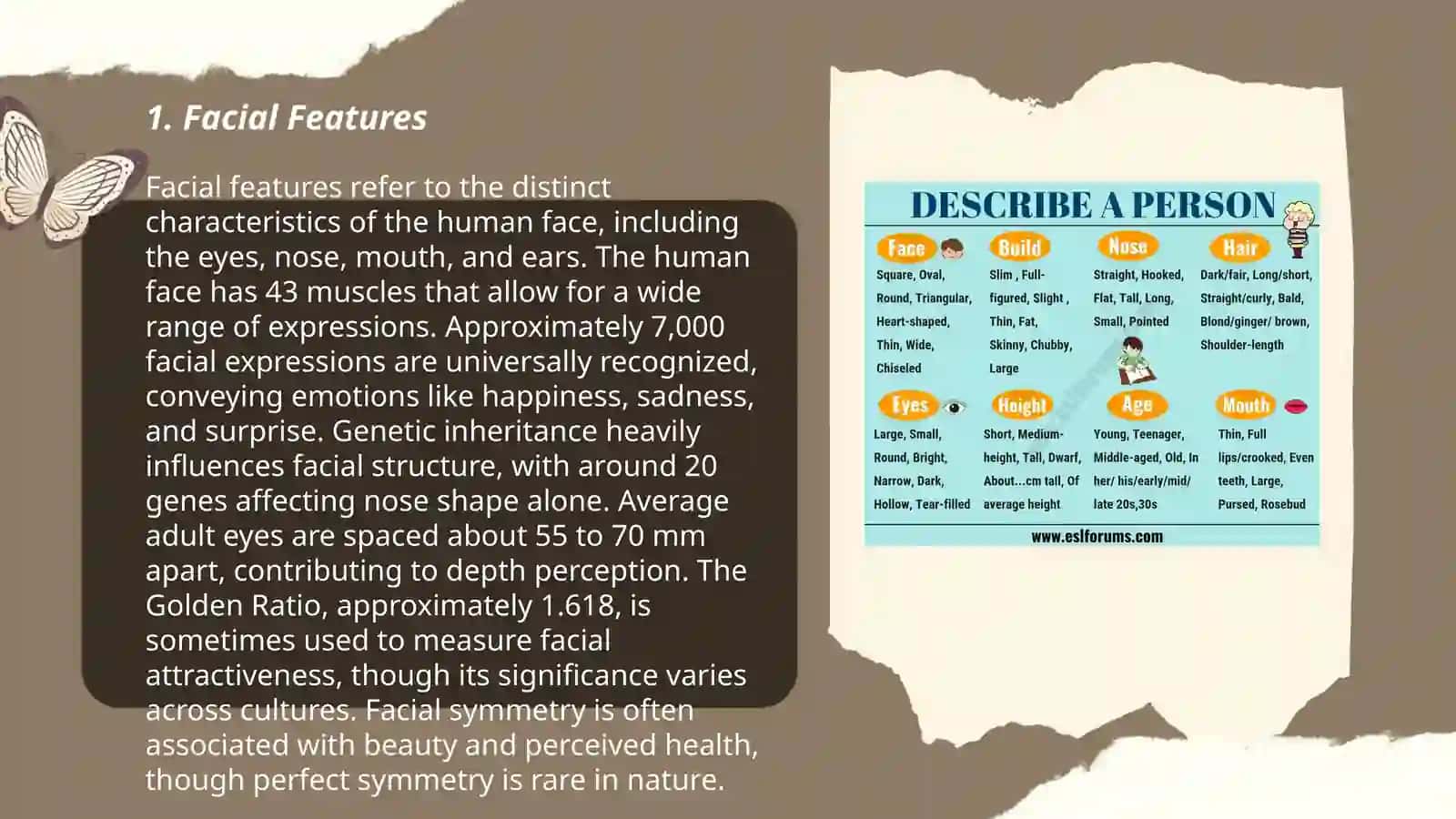 Describing peopleʼs appearance 3