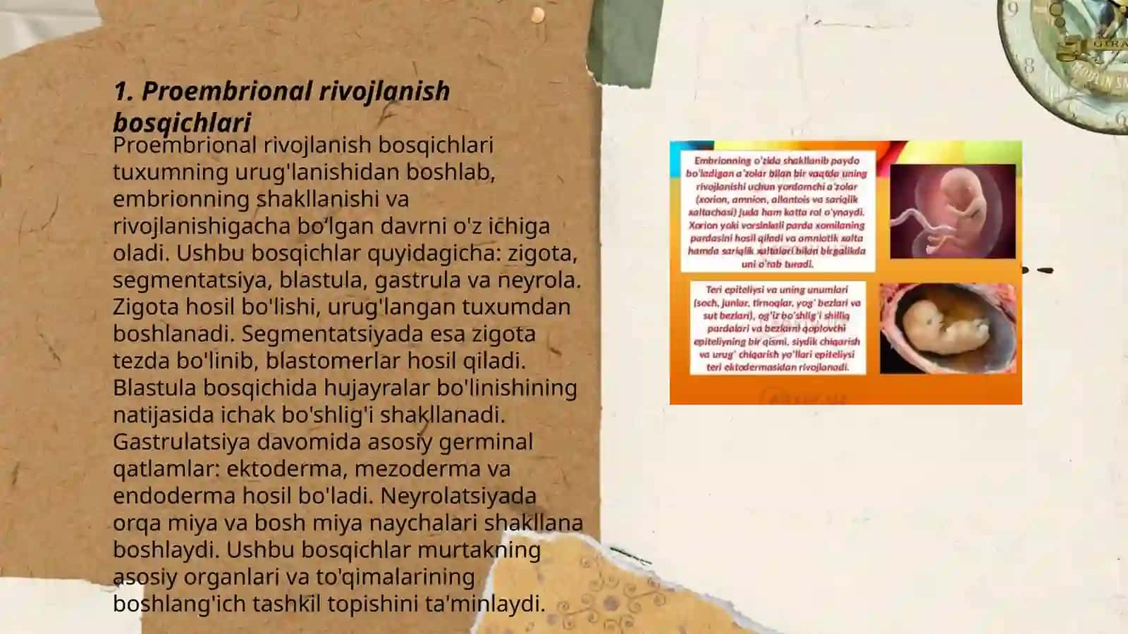 Proembrional rivojlanish davri umumiy qonuniyatlari 3