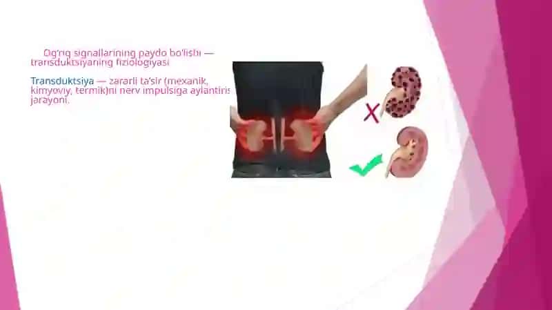 Og‘riq sezuvchanligining  neyrofiziologik asoslari, og‘riqsizlantirish uchun molekulyar nishonlar 3