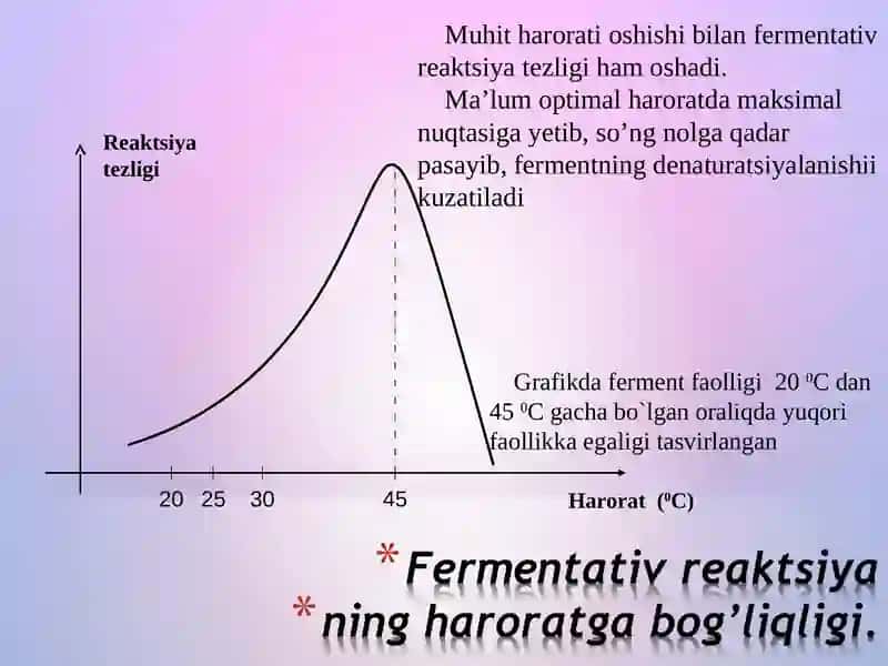 Fermentativ reaktsiya kinetikasiFermentlarfaolliginga ta’sir etuvchi omillar 3