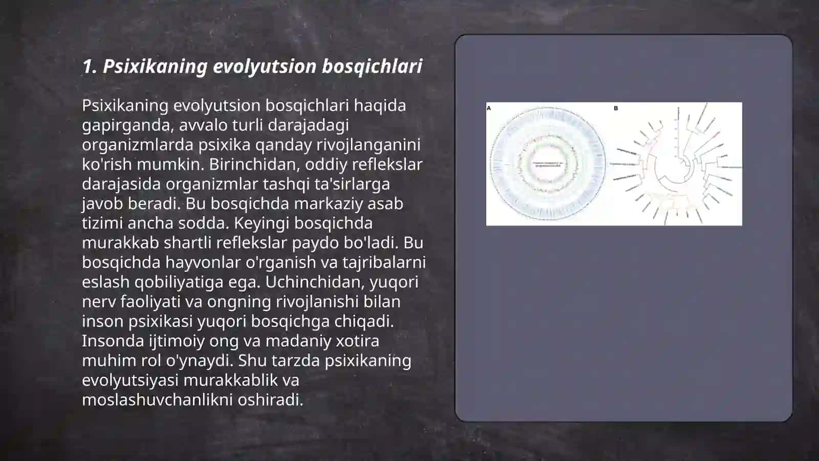 Psixikaning filogenetik taraqqiyoti 3