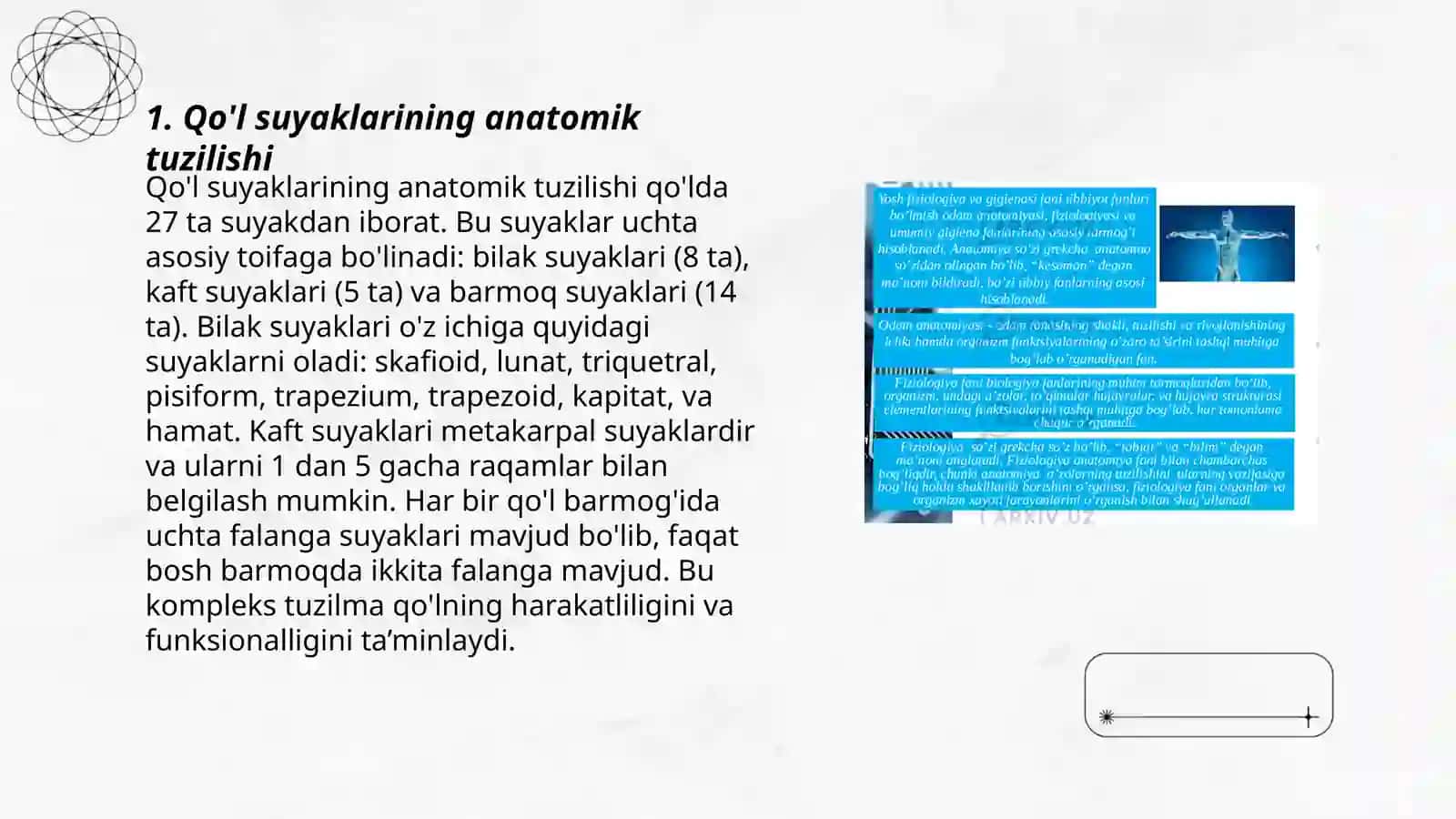 Qo'l suyaklarining variantli anatomiyasi, rivojlanish nuqsonlari 3