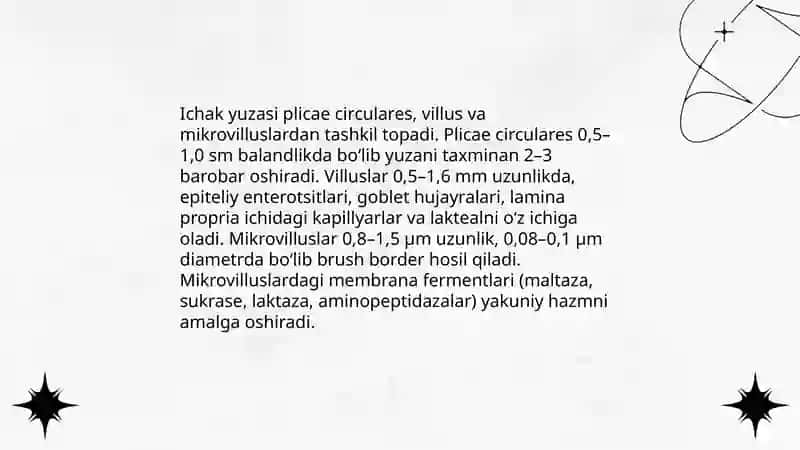 Hazm qilish fiziologiyasi. Ichaklardagi hazm 3