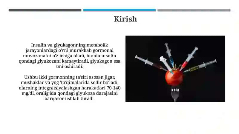 Insulin va glyukagonning roli 3