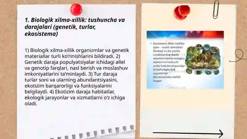 Bio xilma xillik va ekosistimalarning funktsiyalari 3