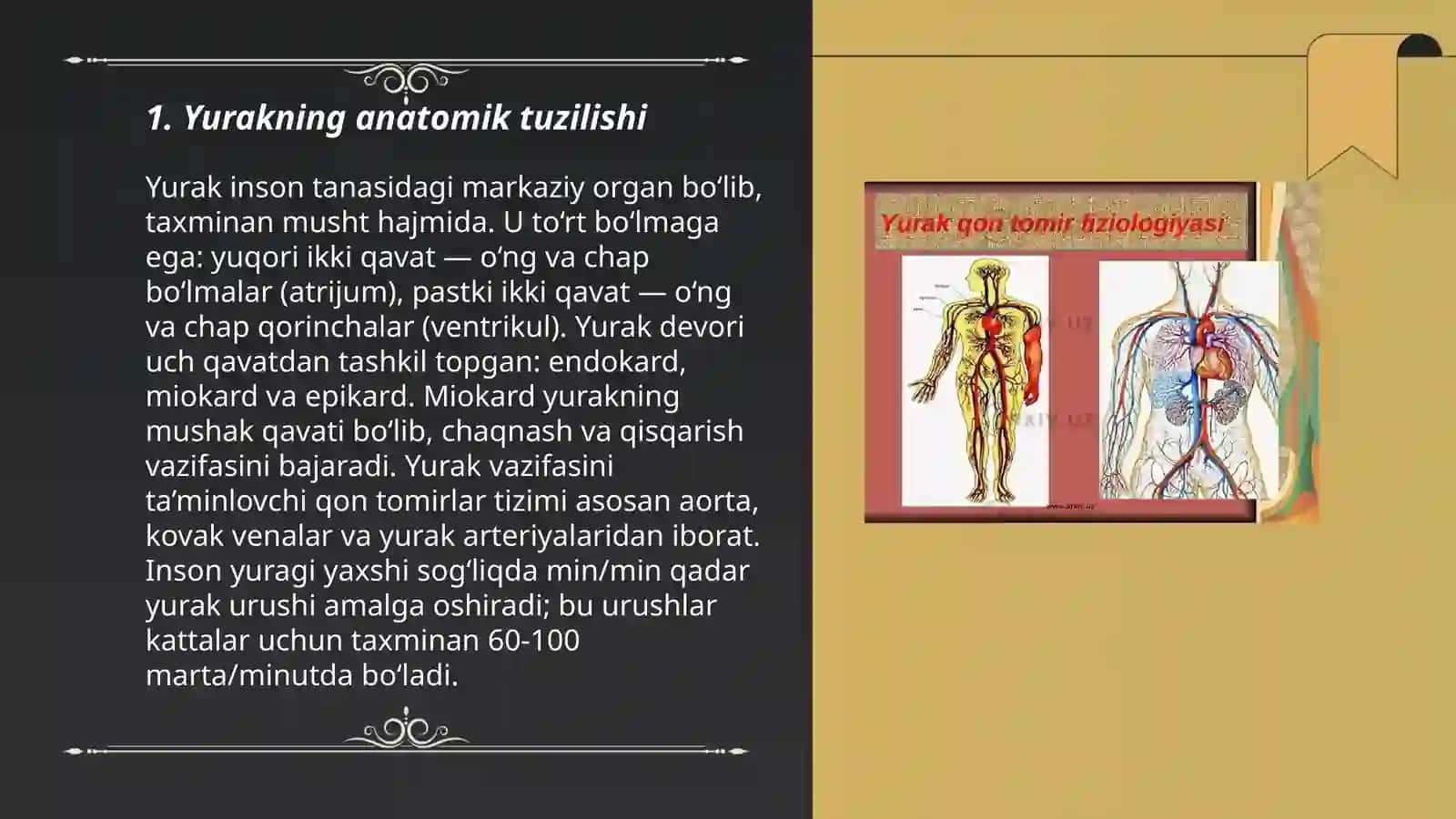 Yurak qon tomirlar fizologiyasi 3