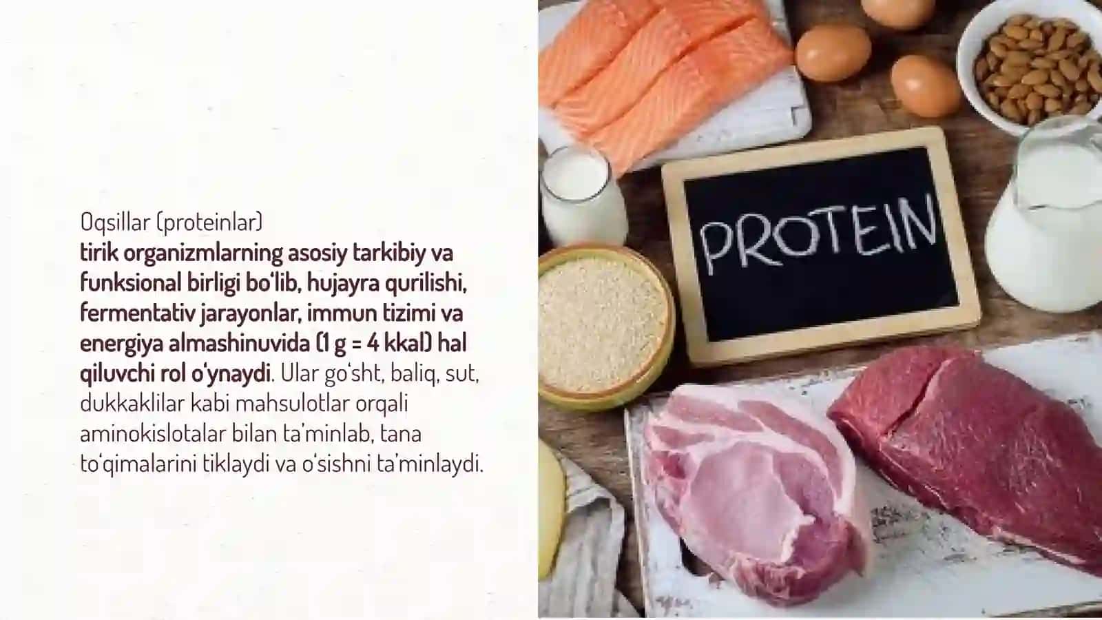 Oqsillarning biologik va ozuqaviy ahamiyati 3