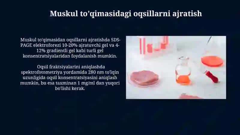 Muskul to'qimasi,oqsil fraksiyalarini aniqlash 3