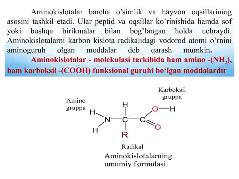 Aminokislotalar 3