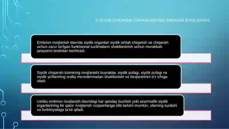 Siydikayiruva’zolariningrivojlanishnuqsonlari 3