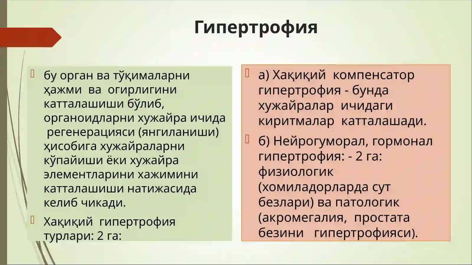 Усма хужайраларини келиб чикишидаги ахамияти 3