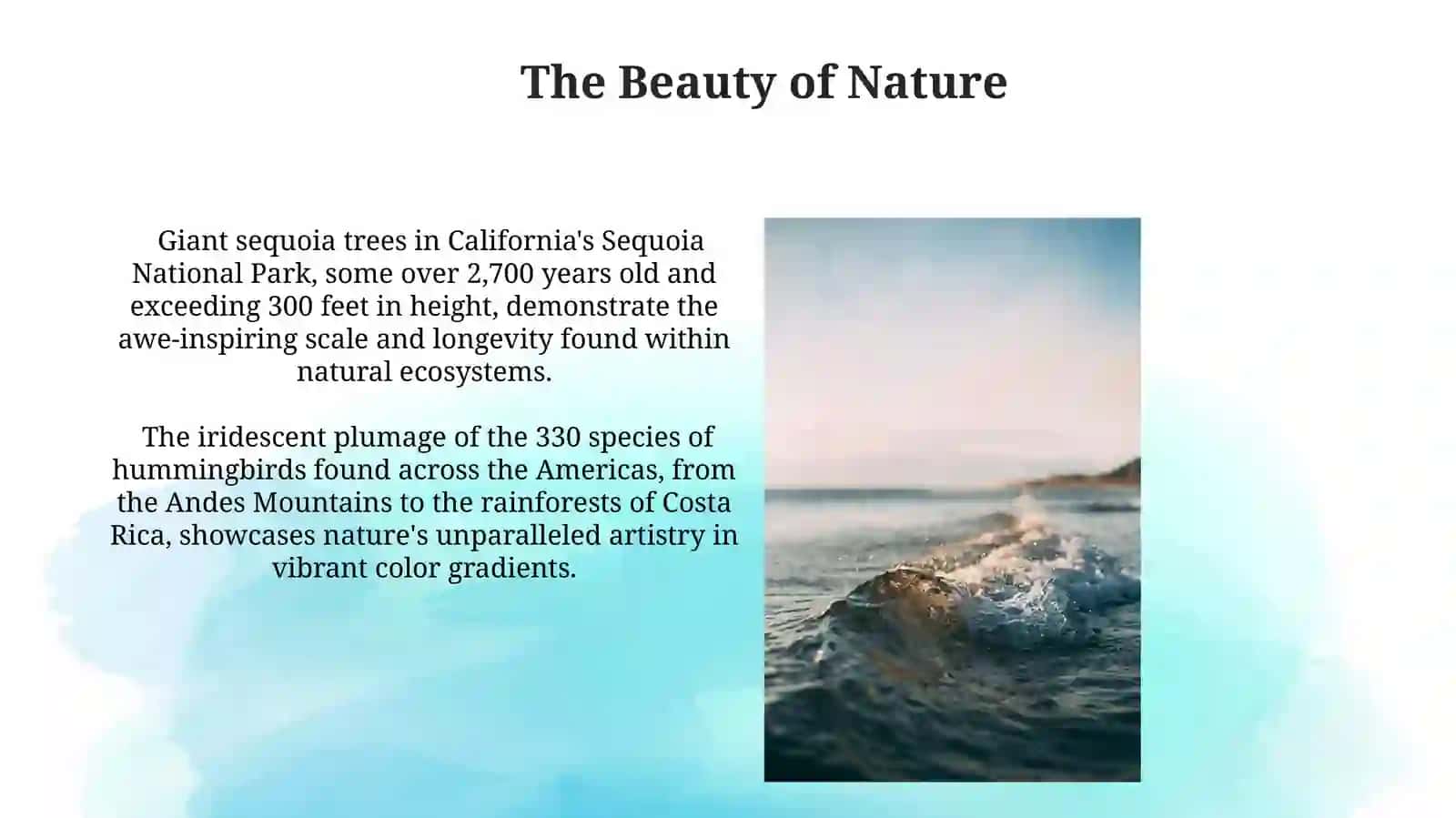 Nature's Interconnectedness 3
