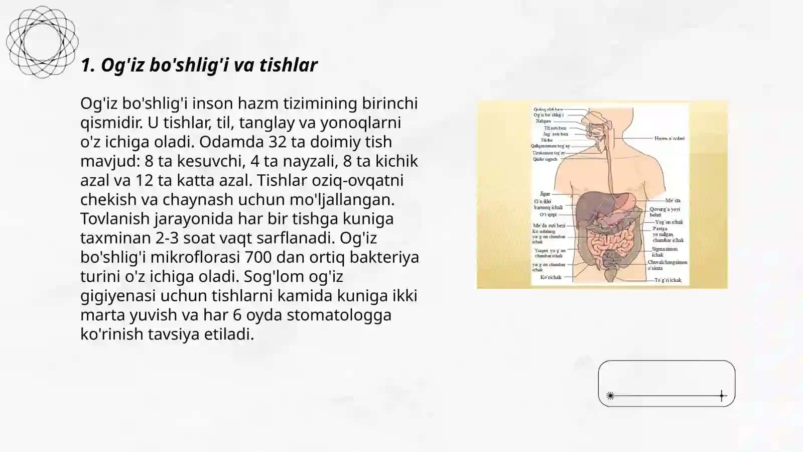 Ovqat hazm qilish sistemasi tuzilishi 3