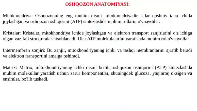 Oshqozon anatomiyasi va fiziologiyasi 3