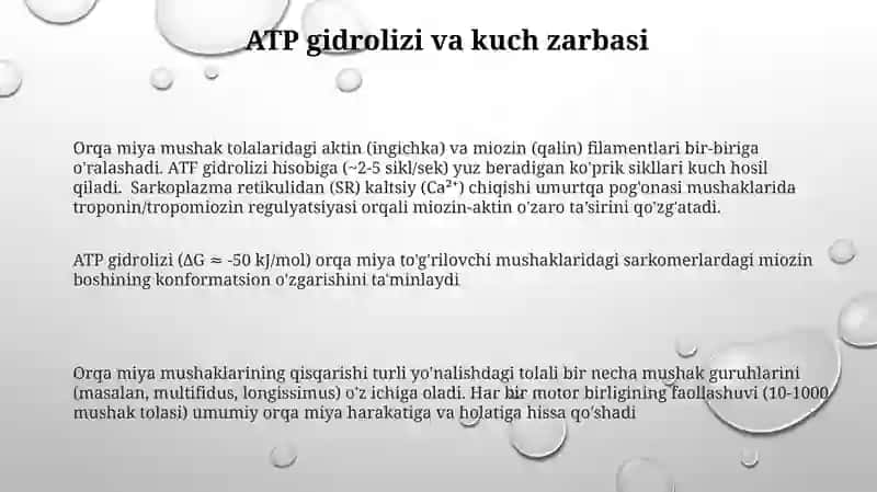 Sirpanuvchi ipchalar modeli 3