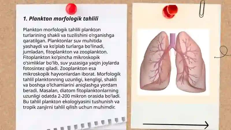 Chòkishni labarotor teshkiruv usullari plankton texnikasi 3