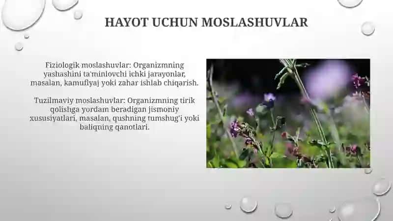 Organizm va muhit 3