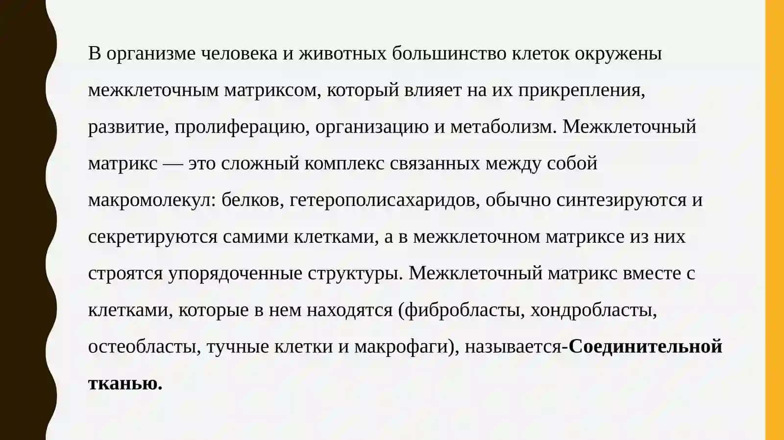 Биохимия соединительной ткани 3