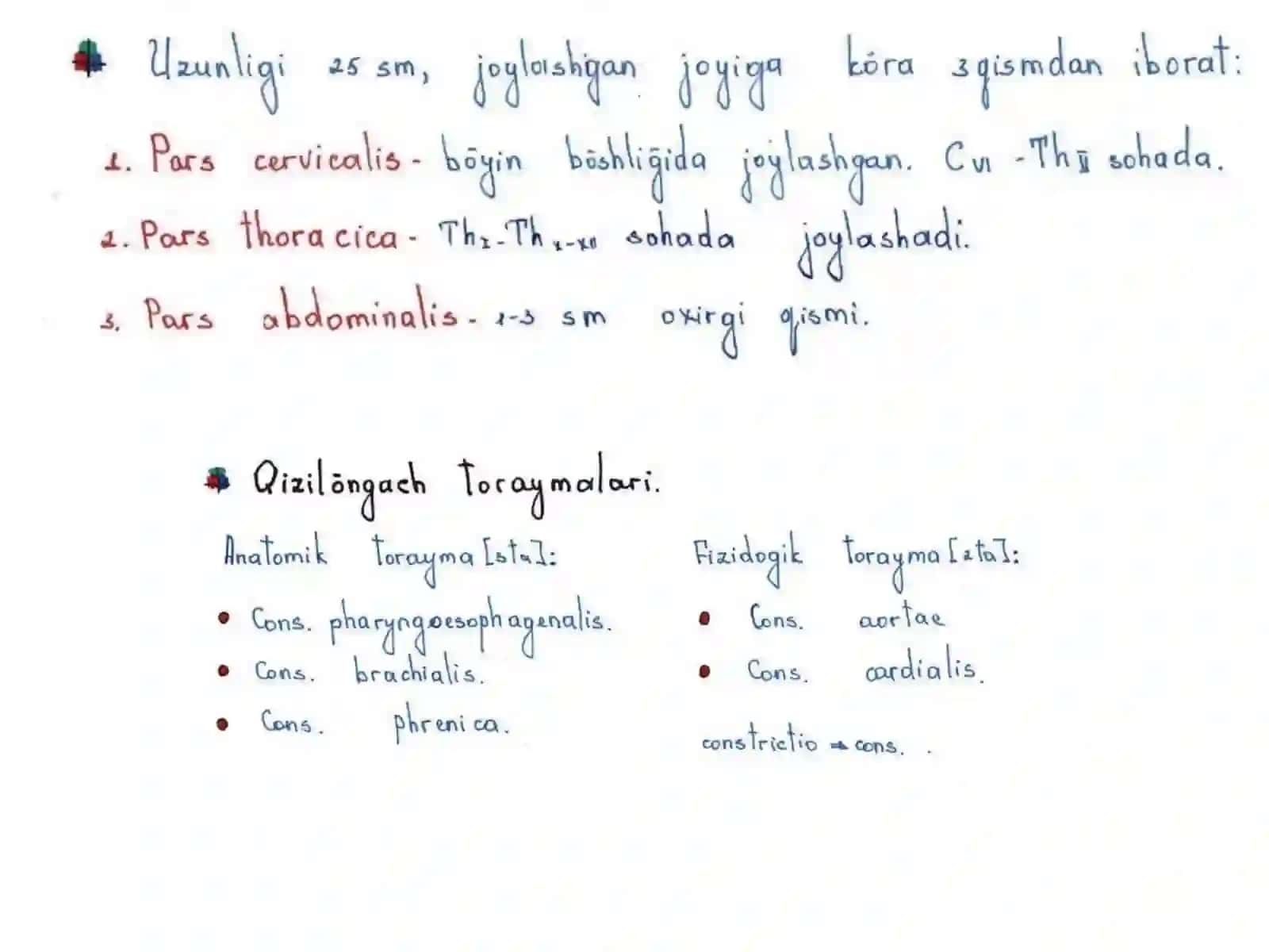 QIZILO‘NGACH, ME’DA VA O‘N IKKI BARMOQLI ICHAK GISTOLOGIYASI 3