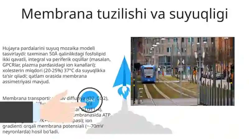 Signallarni membranalar orqali o'tkazilishi 3