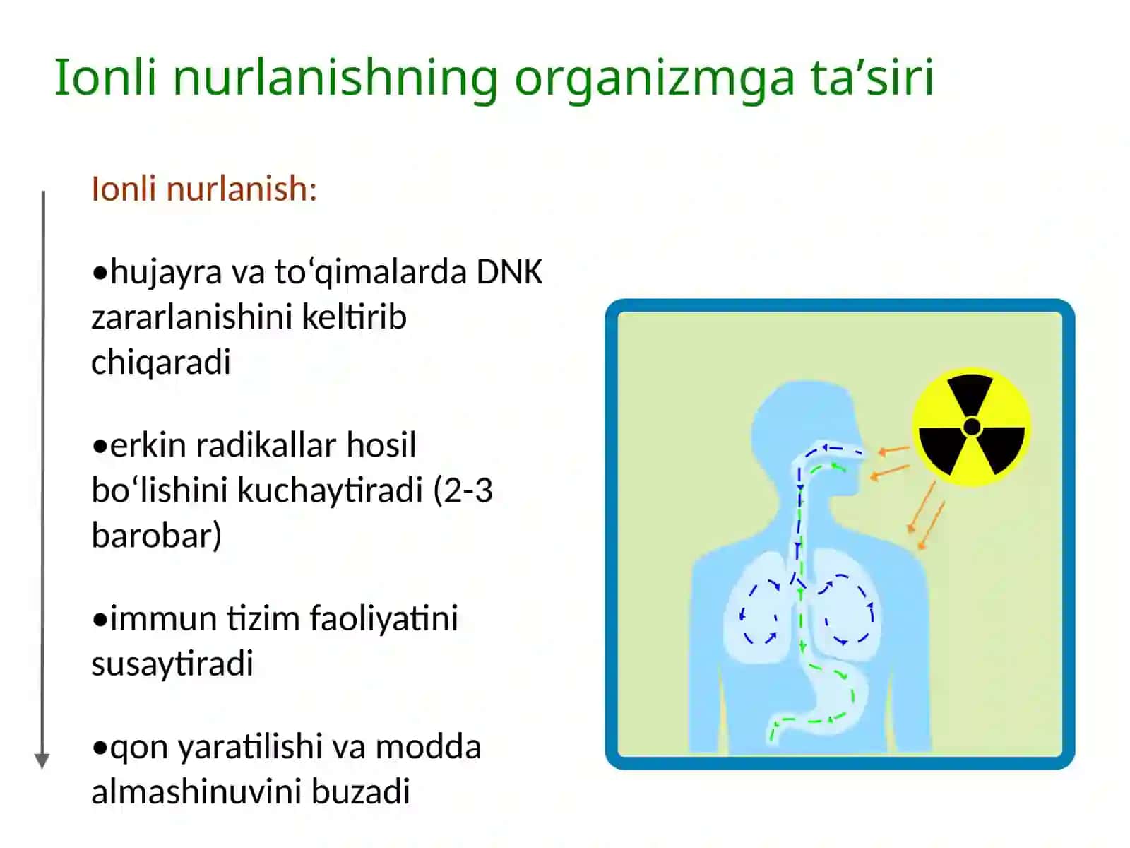 Ionli nurlanishlar bilan ishlovchilar uchun profilaktik ratsion tuzish 3
