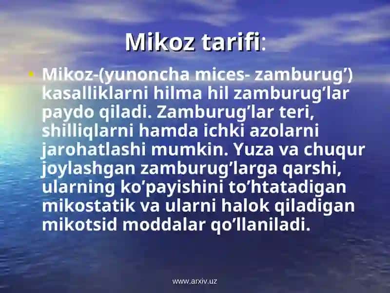Mikoz tarifi 3
