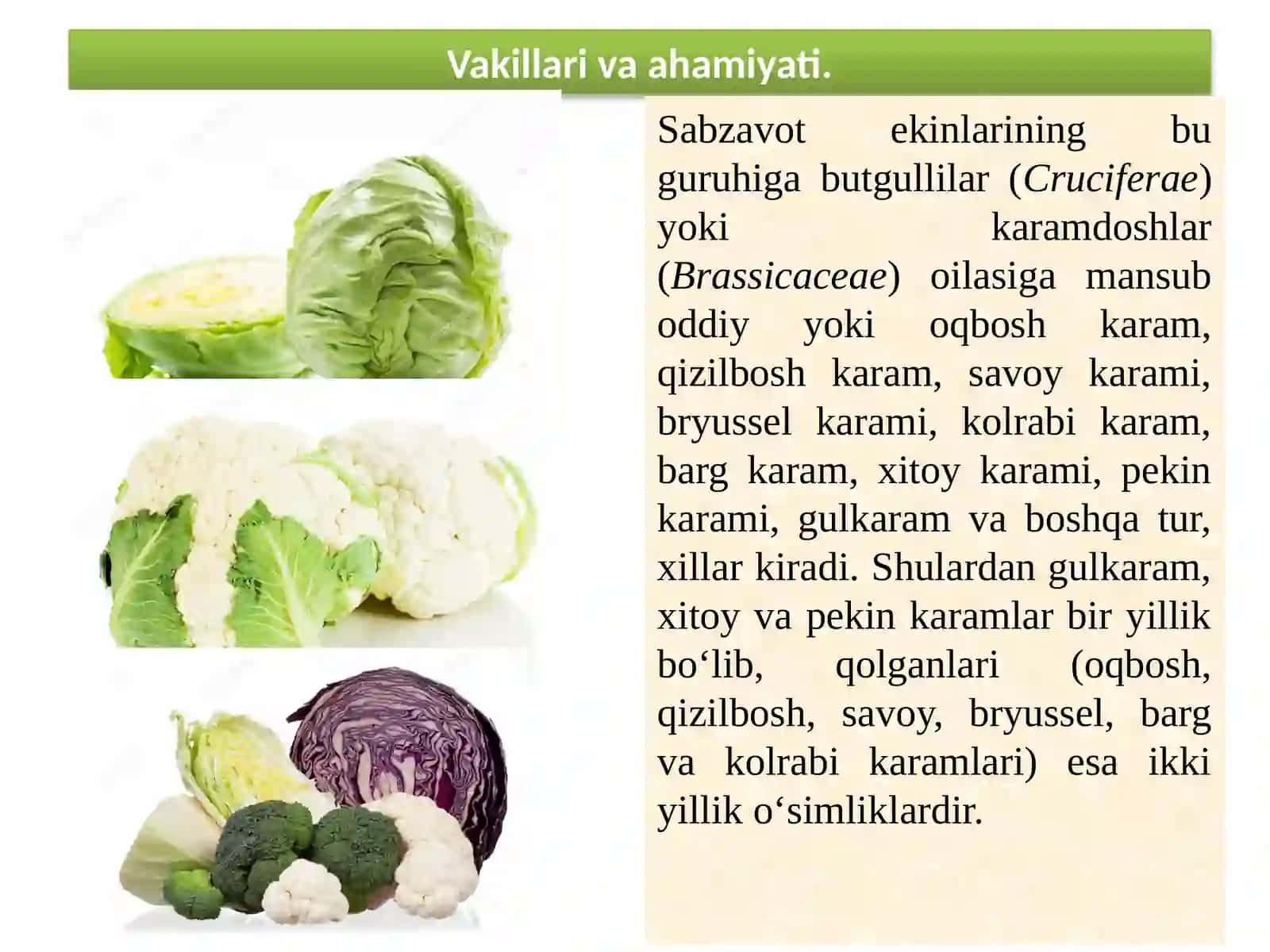 Karamli sabzavotlar 3