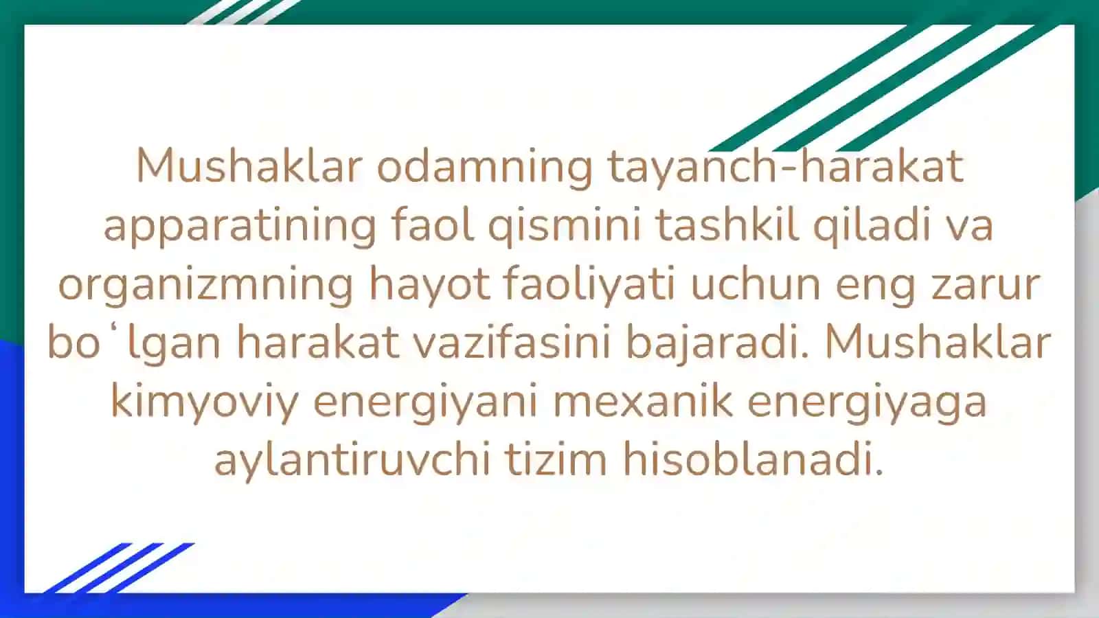 Muwaklar töğrısıda malumot 3