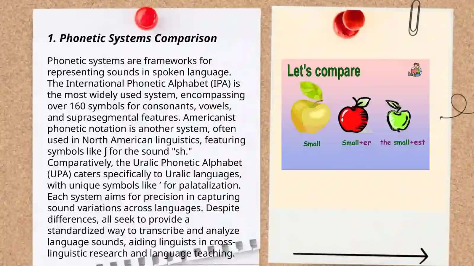 Comparative typology in English and Uzbek language 3