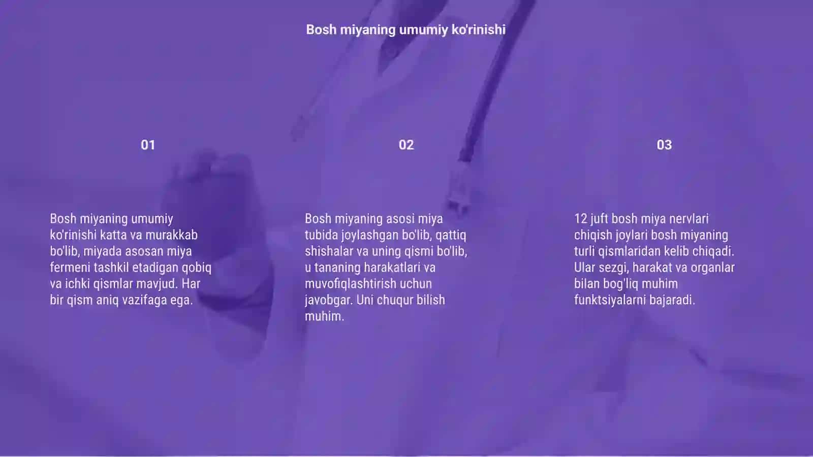 Bosh miyaning umumiy ko'rinishi 3