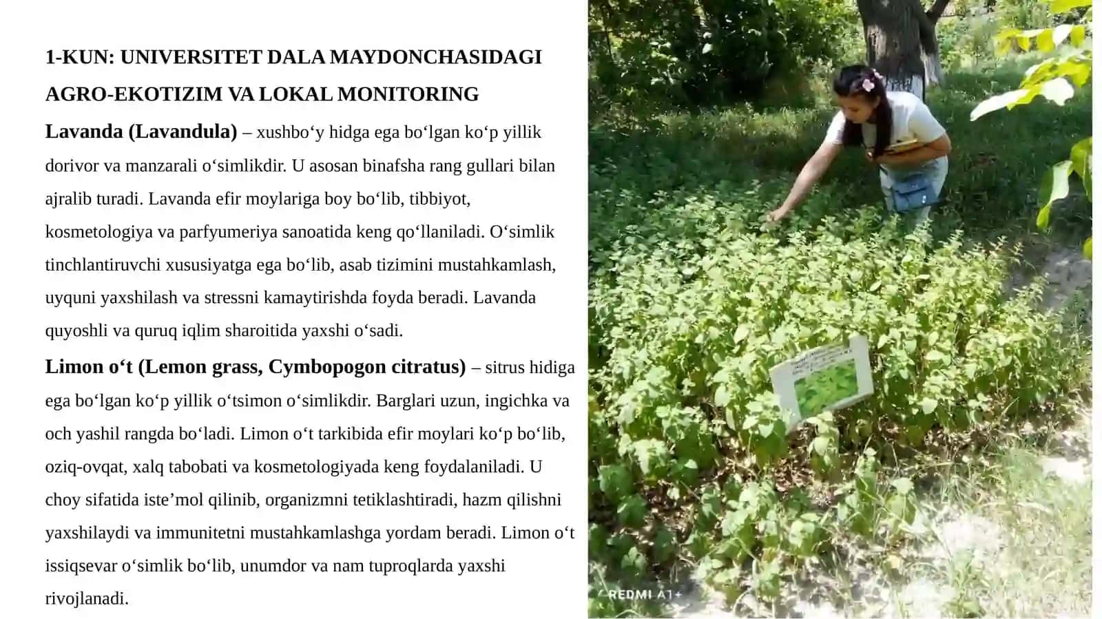 Ekologiya va atrof – muhit muhofazasi 3