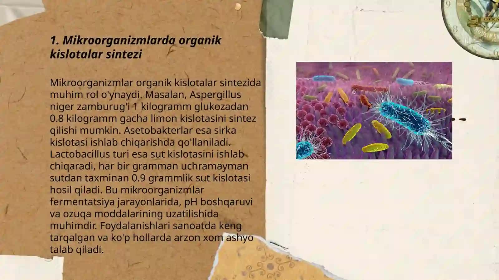 Mikroorganizmlarda organik kislotalarni ajratib olish 3
