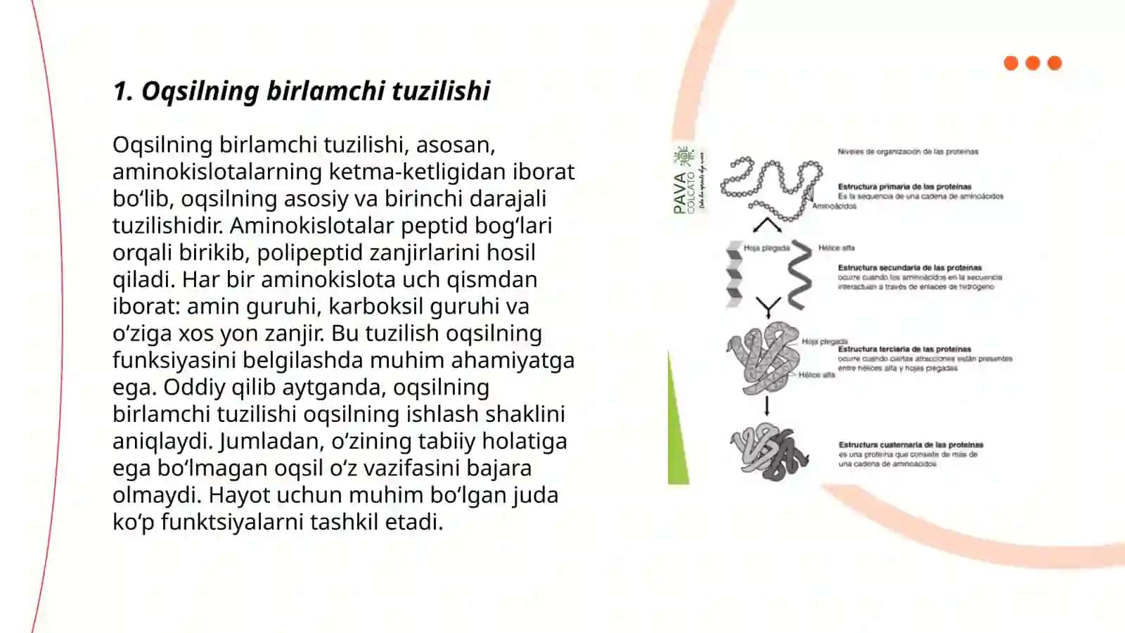 Oqsillar denaturatsiyasi va uning biologik ahamiyati 3