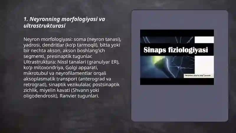 Neyronlar fiziologiyasi va Sinapslar fiziologiyasi 3