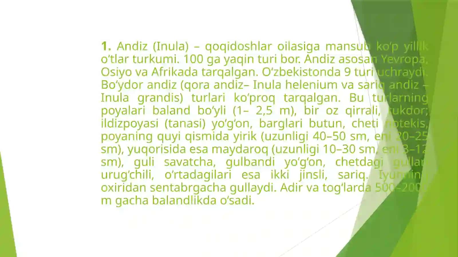 Sarıqandiz (Девясил желтый) Inulagrands L ni yetishtirish texnologiyasi 3