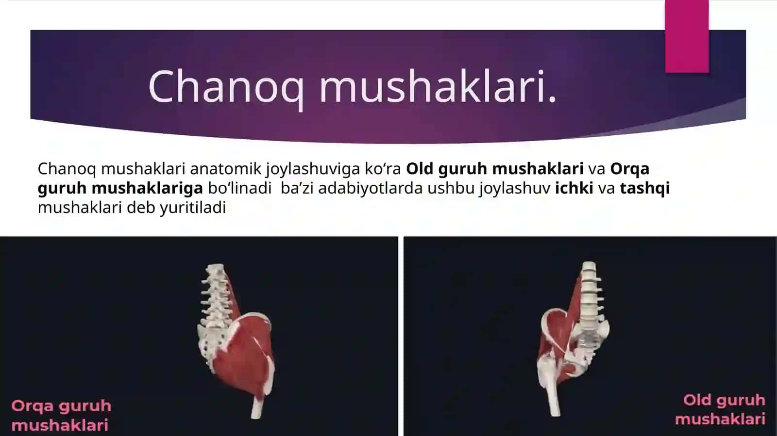 Oyoq muskullari 3