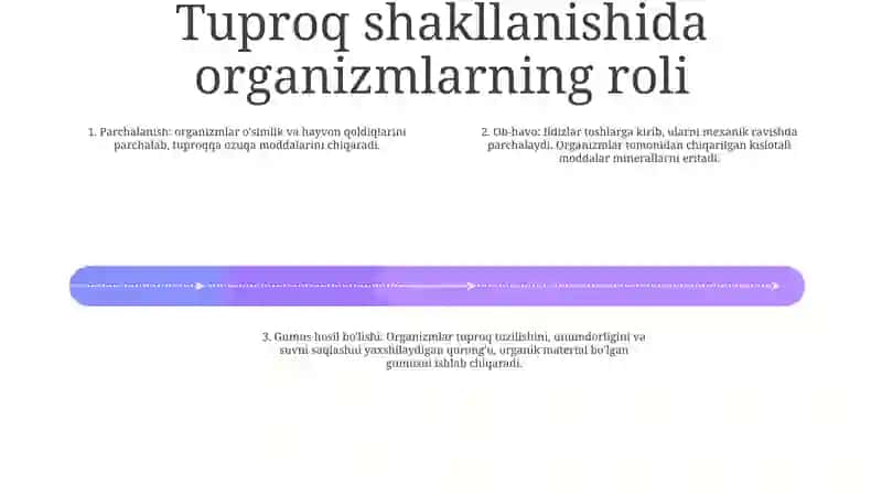 Organizmlar Va Tuproq Hosil BoʻLishi Hamda Geografiyasi 3
