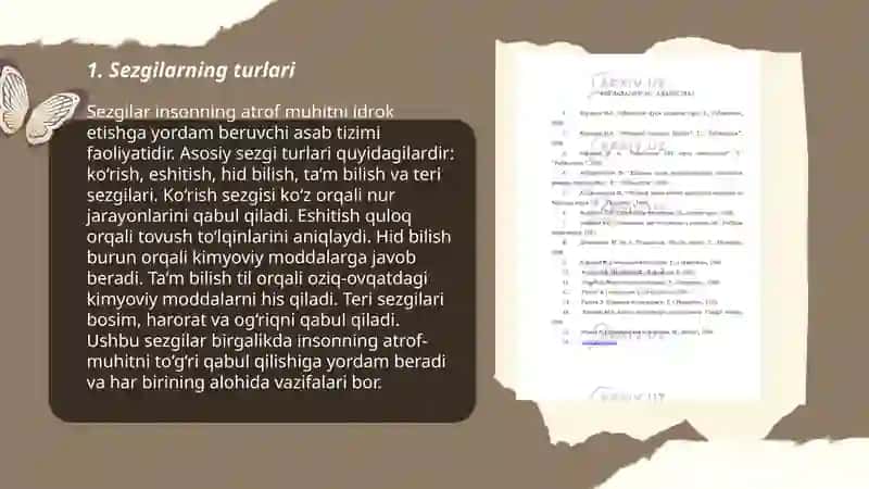 Sezgilar haqida umumiy tushuncha 3