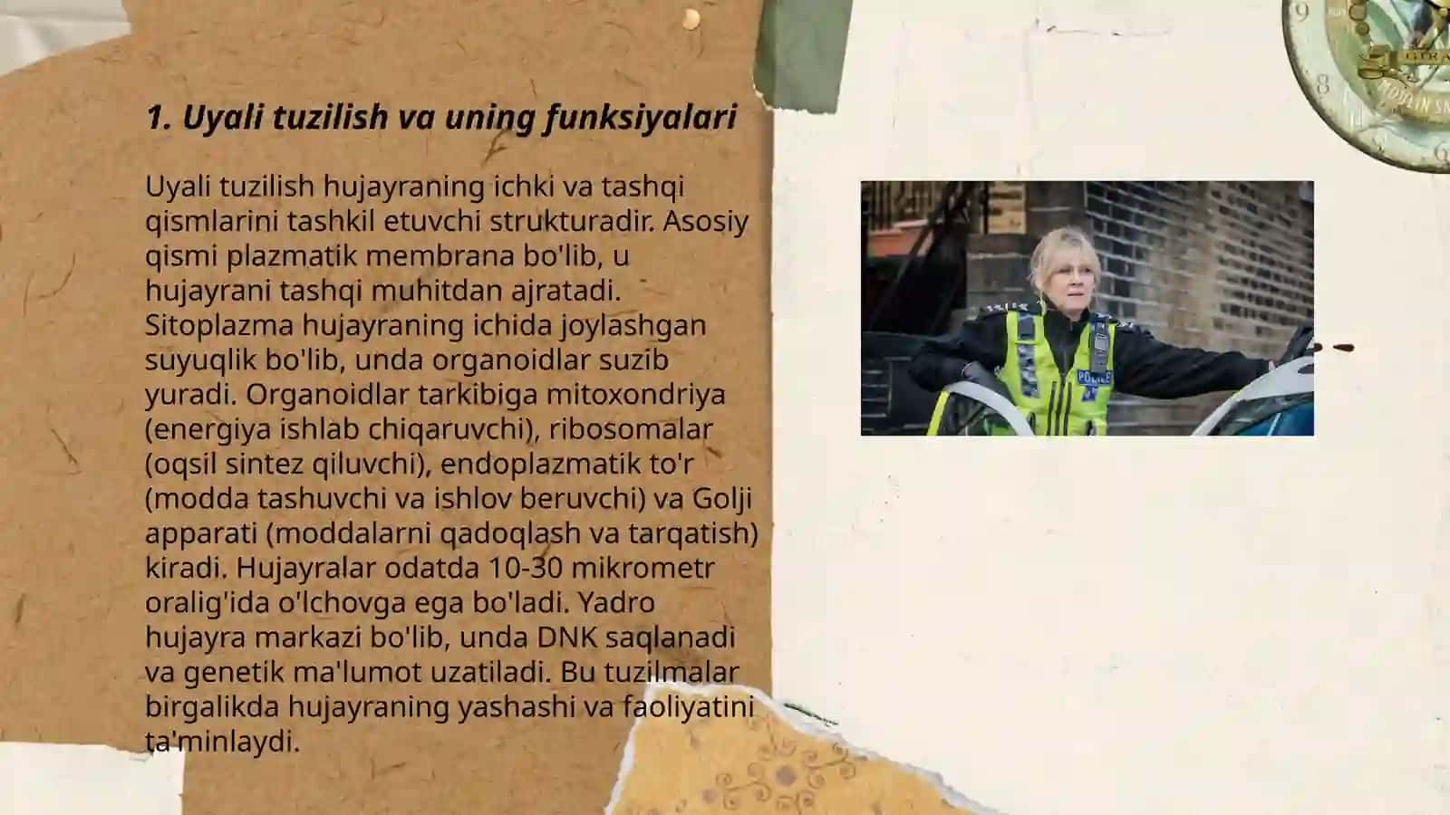 Tirik organiznlar o'zini o'zi boshqarishi mavzusi 3
