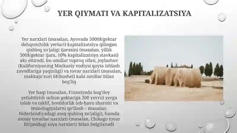 Qishloq xojaligi.ijara xaqqi va renta 3